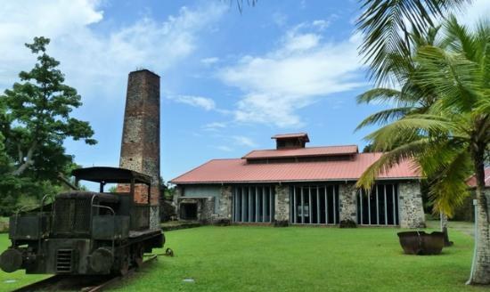 La locomotive à vapeur conservée dans les jardins du musée, au milieu de la végétation