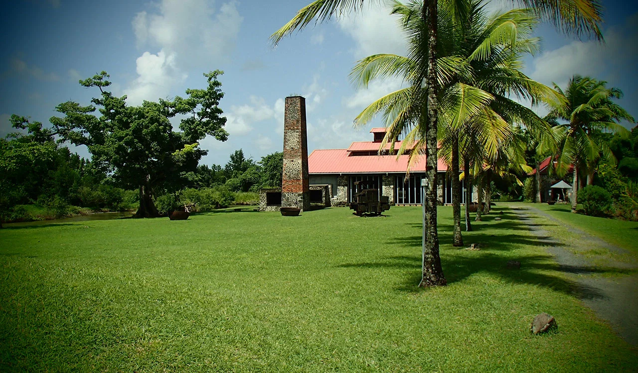 Le parc de la Maison de la Canne : la cheminée de brique et le toit rouge de l'ancienne distillerie, entre les palmiers et la pelouse
